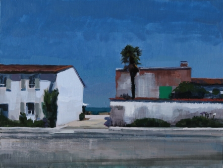 Un palmier - Laurent Dauptain