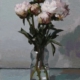 Laurent Dauptain - Pivoines roses, fond gris
