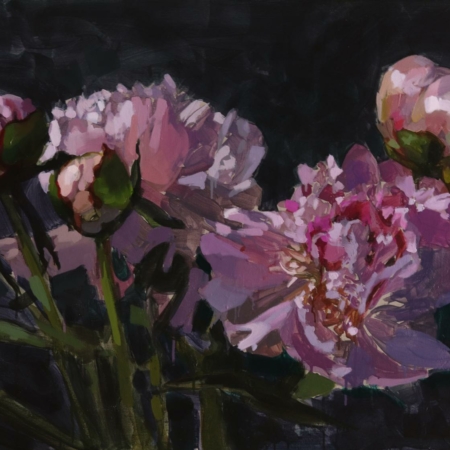 pivoines roses laurent dauptain