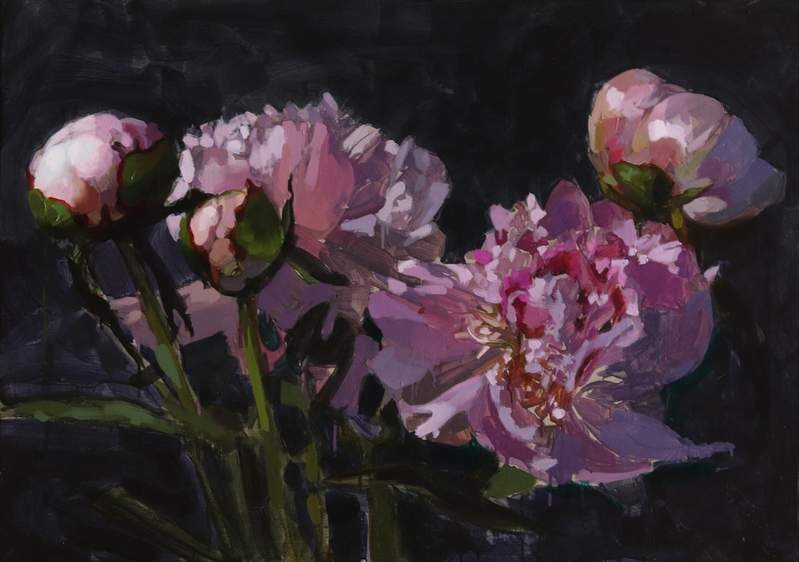 pivoines roses laurent dauptain